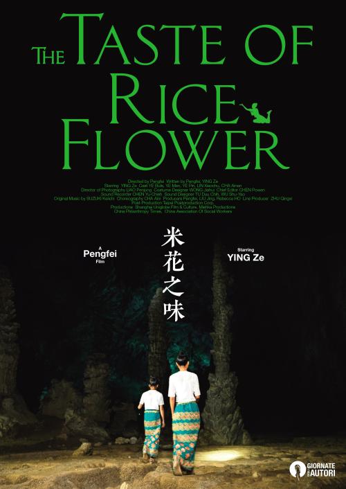 哪里可以办冰岛护照
